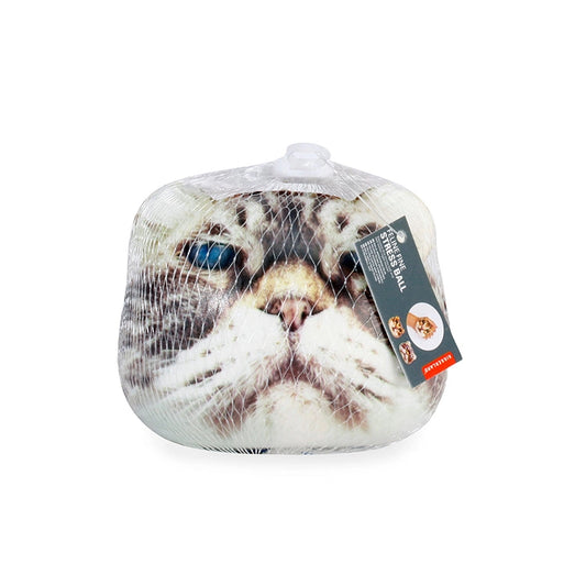 Cat Stress Ball / Squeeze Toy