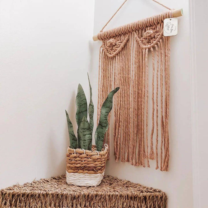 Driftwood + Macramé Boobies Wall Hanging