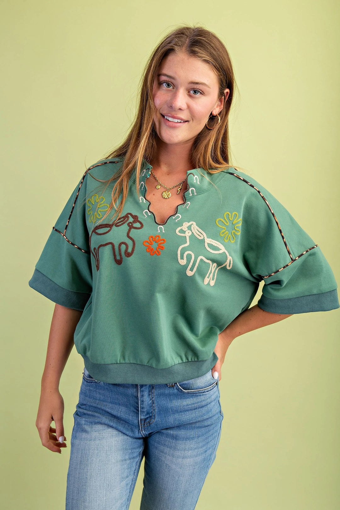 Western Embroidered Top