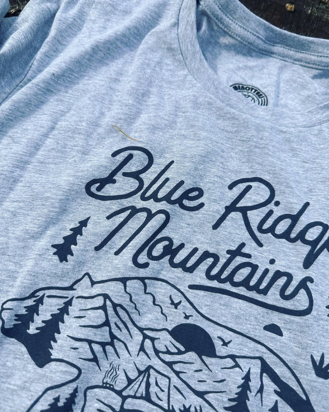 Blue Ridge Mountain Bear Tee
