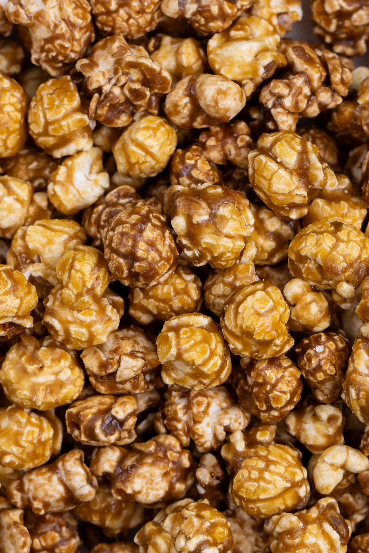 Poppy Handcrafted Popcorn - Festive Salted Caramel
