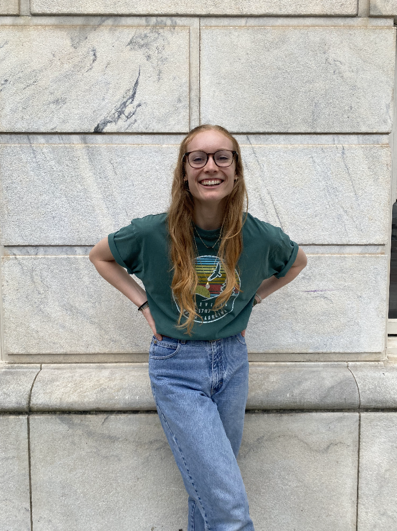 Sun Striped Asheville Short Sleeve Top - Mist Green