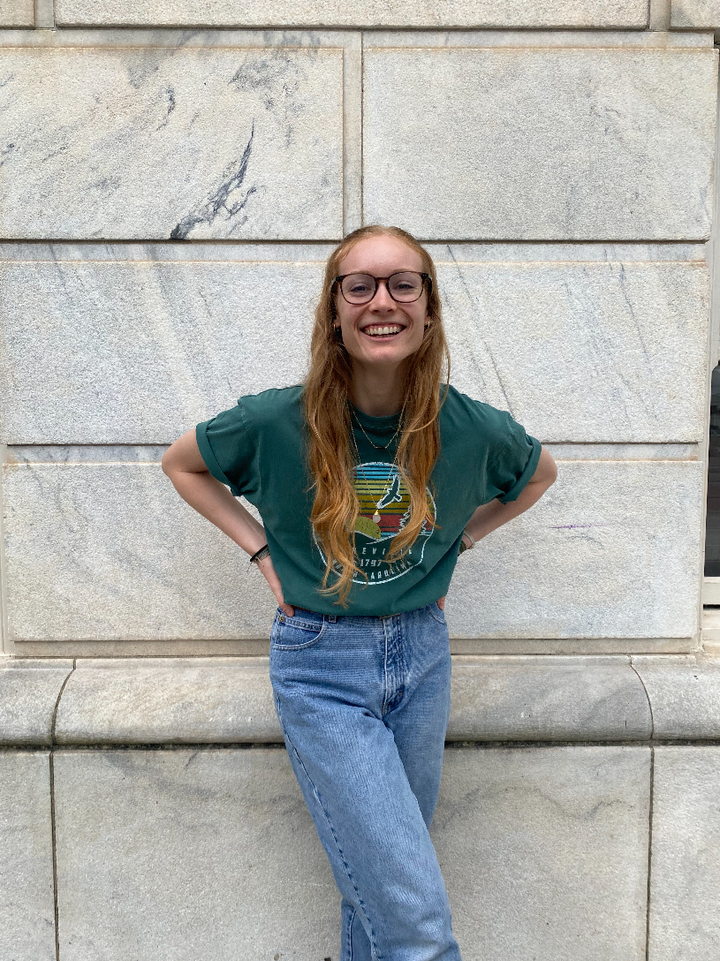 Sun Striped Asheville Short Sleeve Top - Mist Green