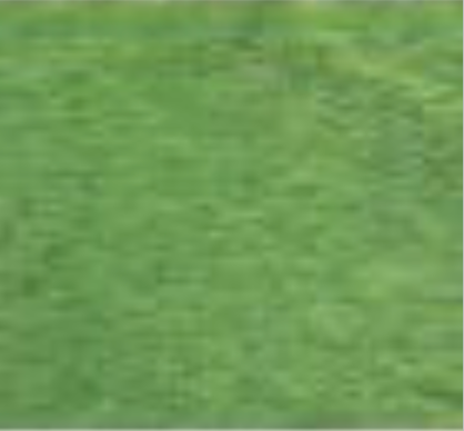 Green Tree Wooden Earring - North Carolina