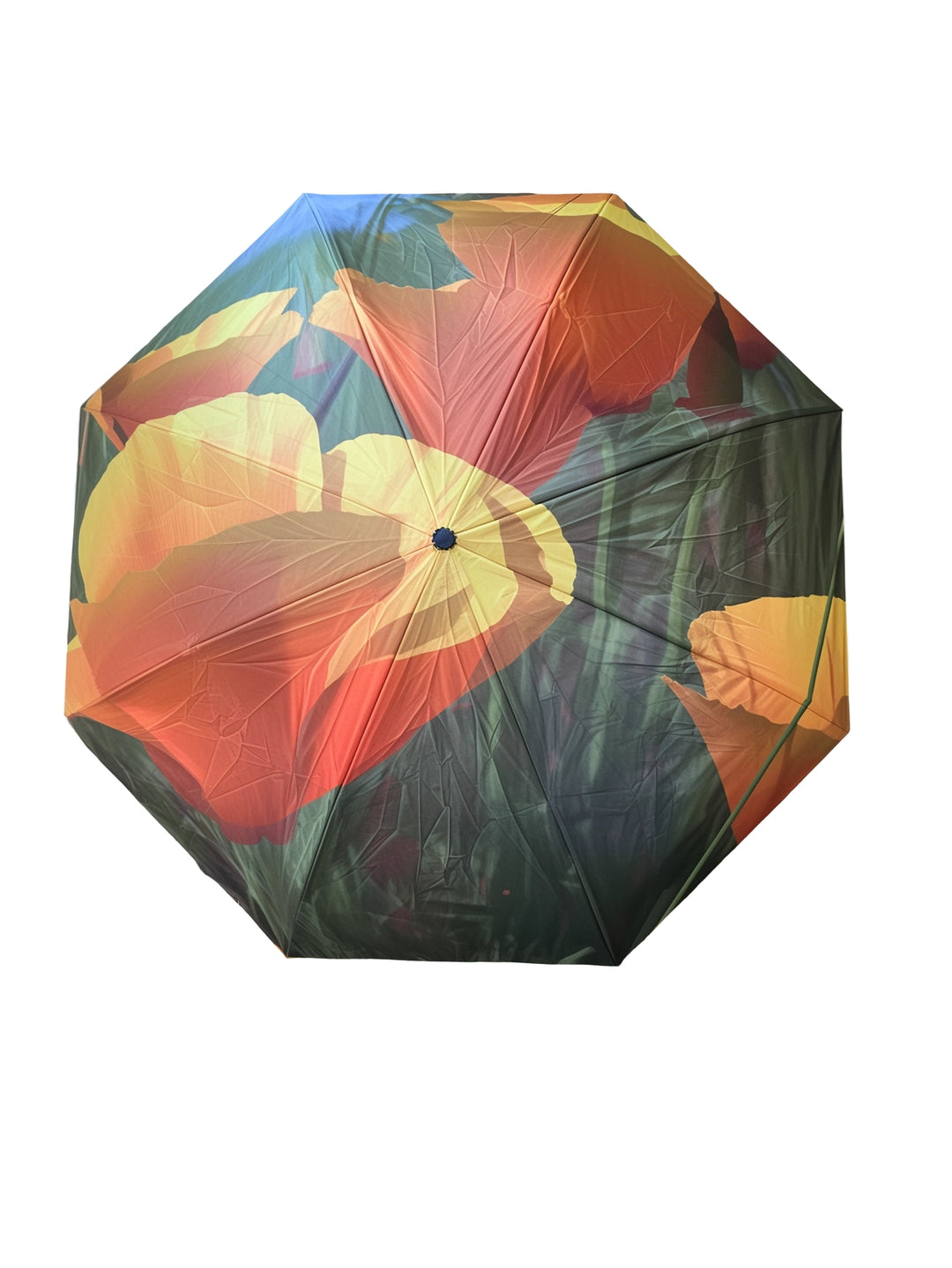 Nature Photography Inverted Umbrella