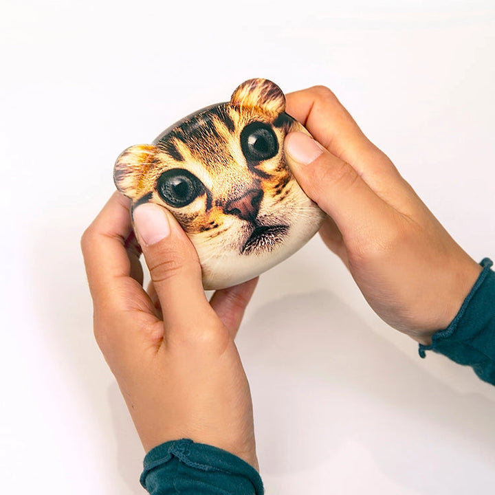 Cat Stress Ball / Squeeze Toy