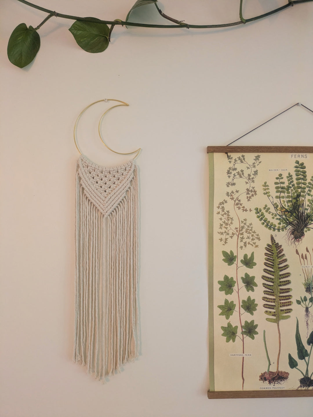 Macramé Crescent Moon Wall Hanging