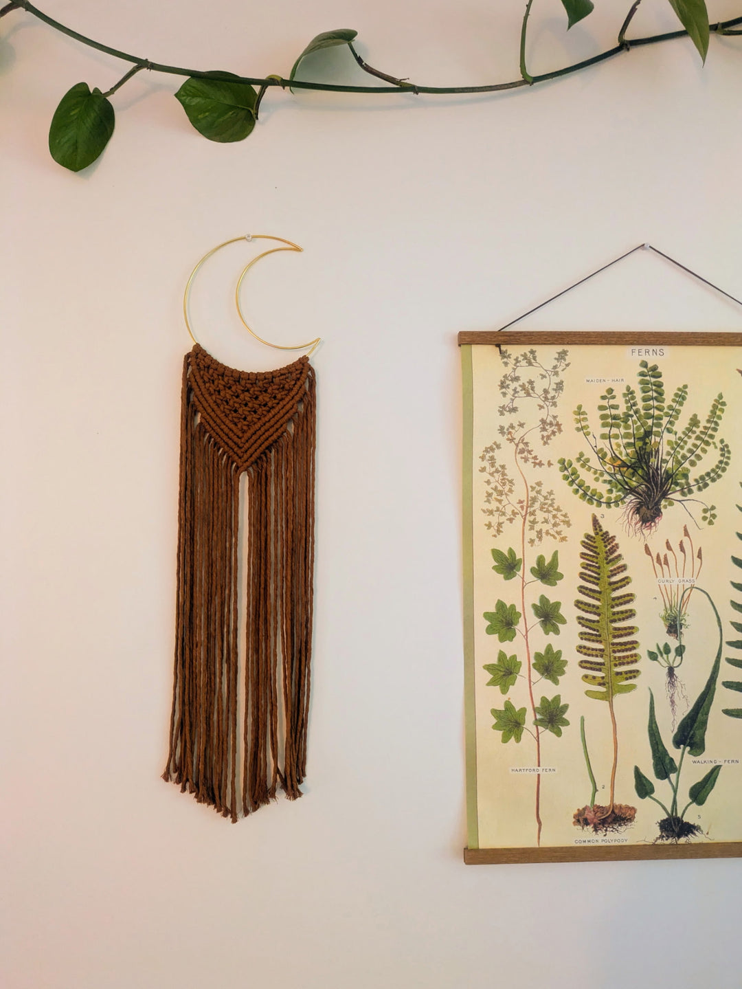 Macramé Crescent Moon Wall Hanging