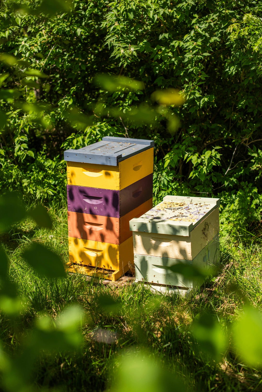 Slice Of Sunshine 4oz Candle