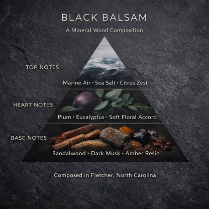 Fernberry Candle - Black Balsam