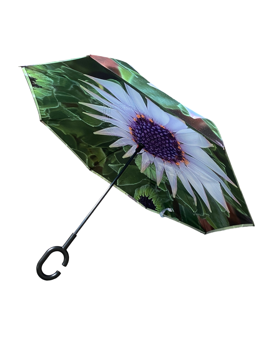 Nature Photography Inverted Umbrella