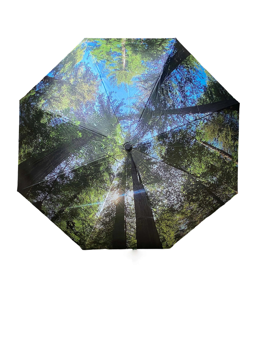 Nature Photography Inverted Umbrella