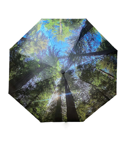 Nature Photography Inverted Umbrella