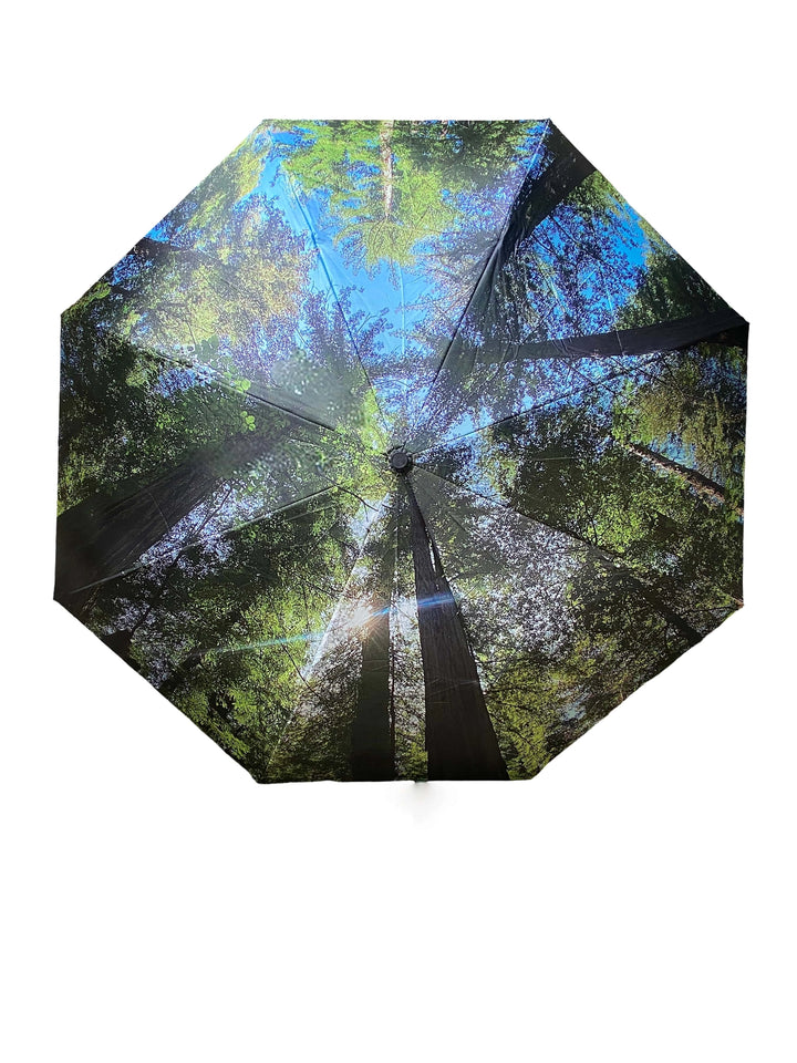Nature Photography Inverted Umbrella
