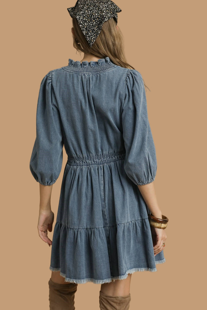 Ruffle Trim Denim Dress