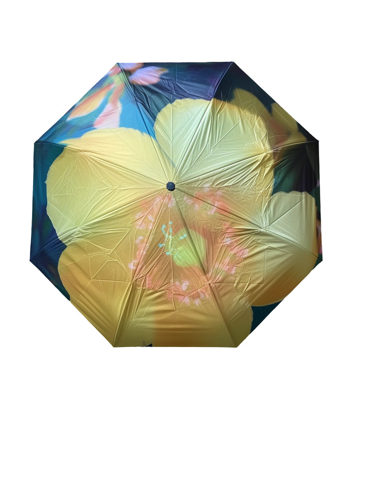 Nature Photography Inverted Umbrella