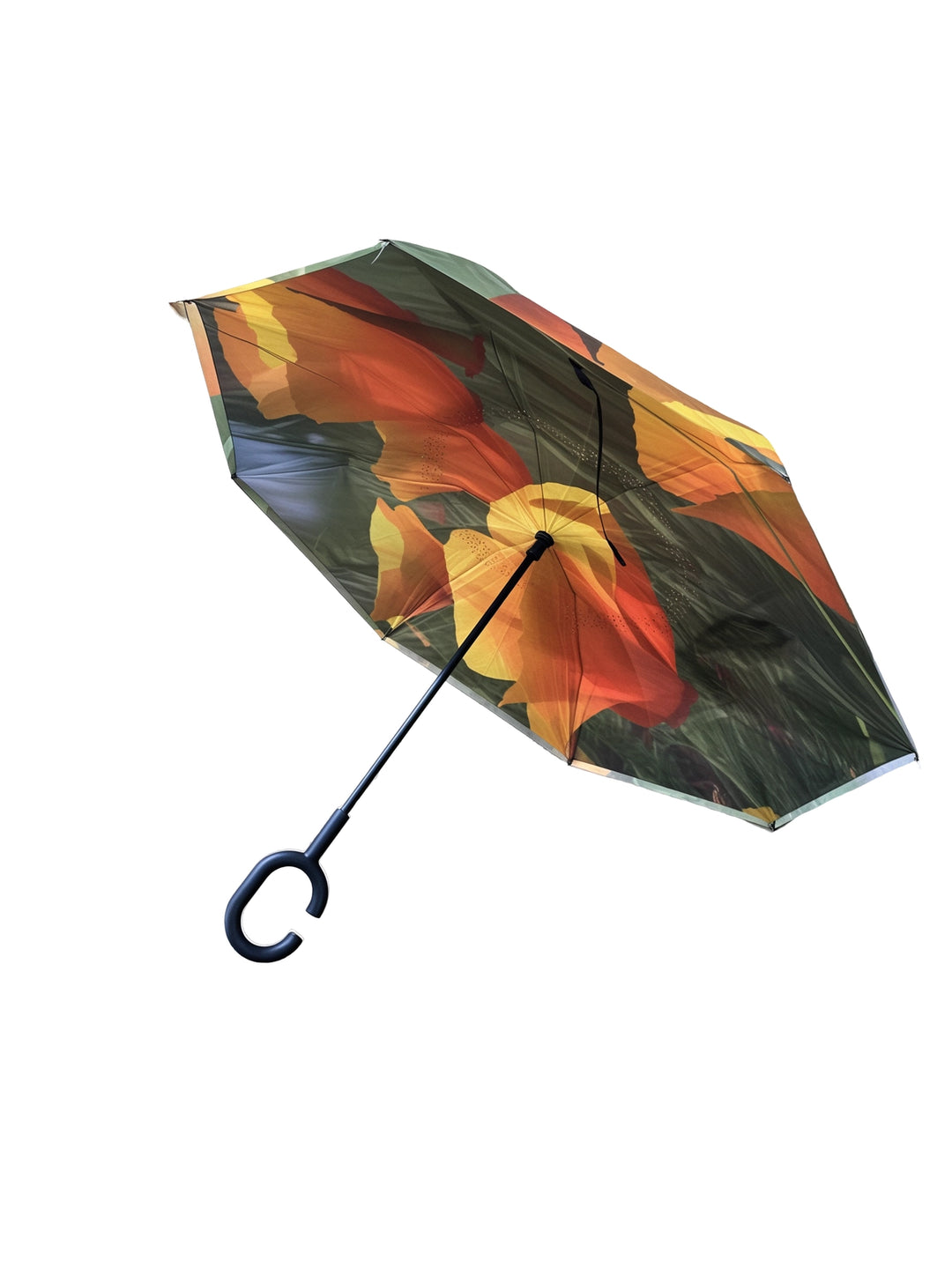 Nature Photography Inverted Umbrella
