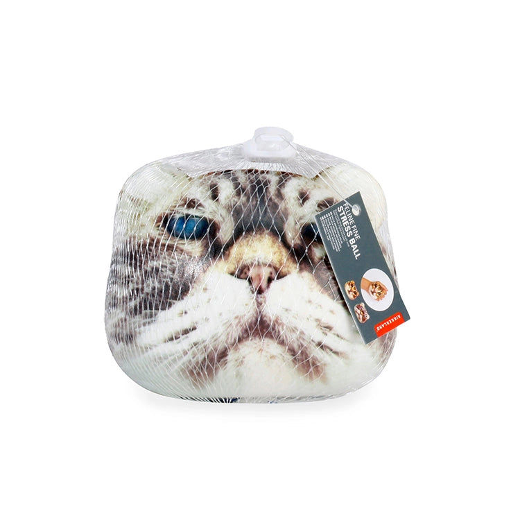 Cat Stress Ball / Squeeze Toy