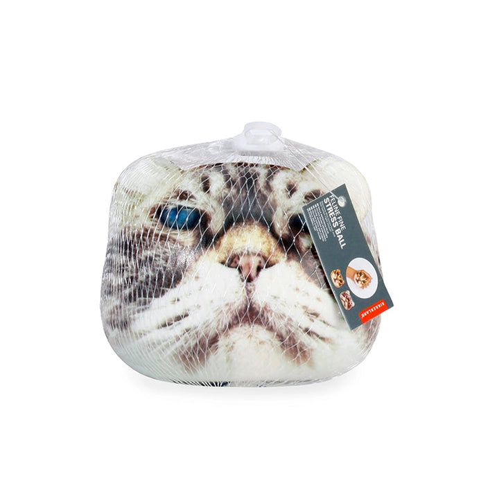Cat Stress Ball / Squeeze Toy