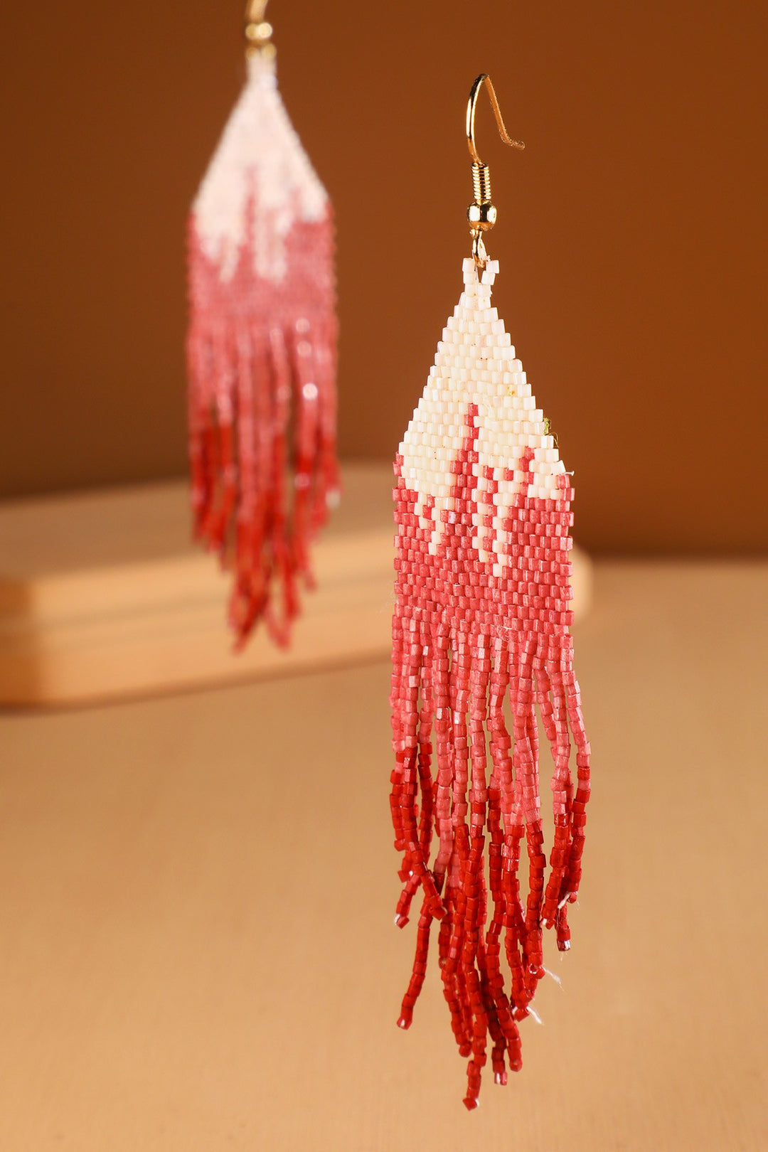 Ombre Seed Bead Fringe Earring