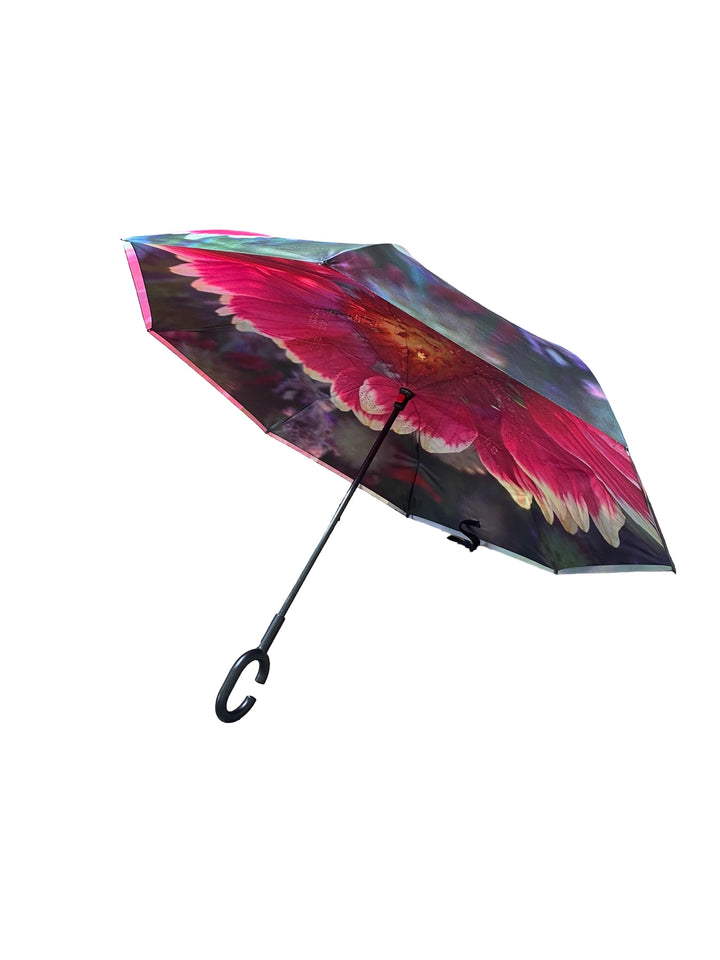 Nature Photography Inverted Umbrella