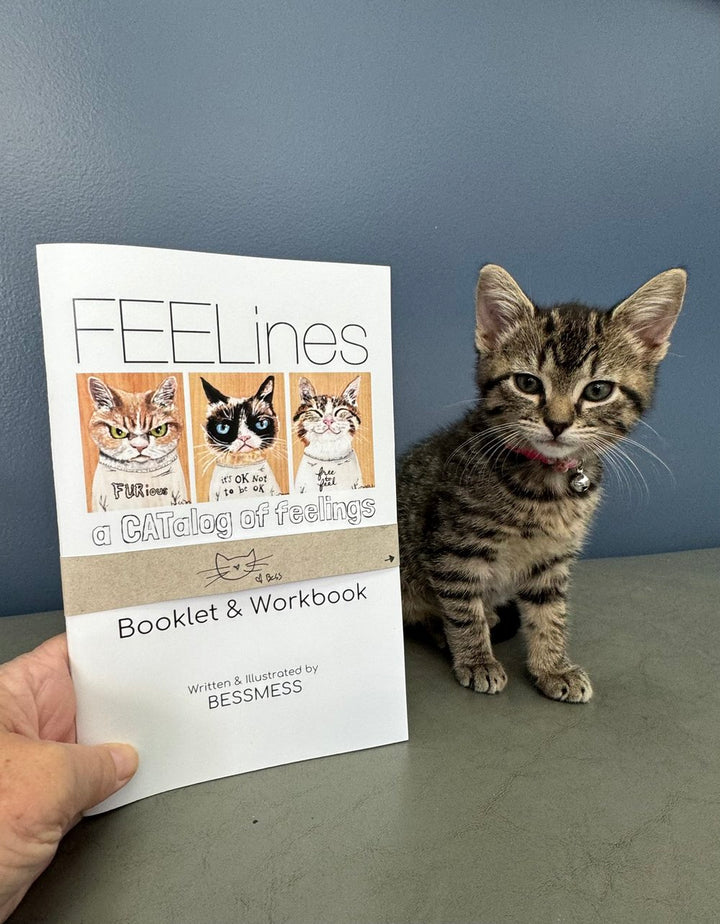 FEELines - A Booklet & Workbook