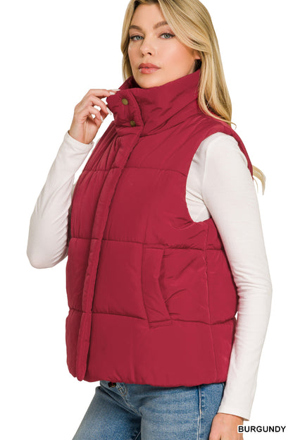 Mountain Puffer Vest