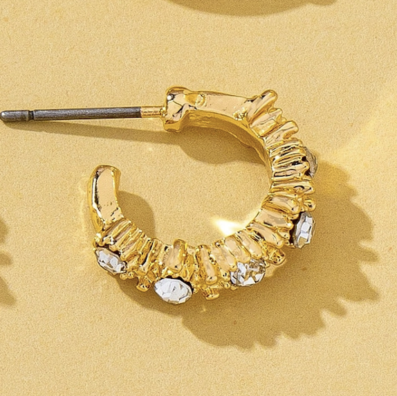 Embellished Stud Earring