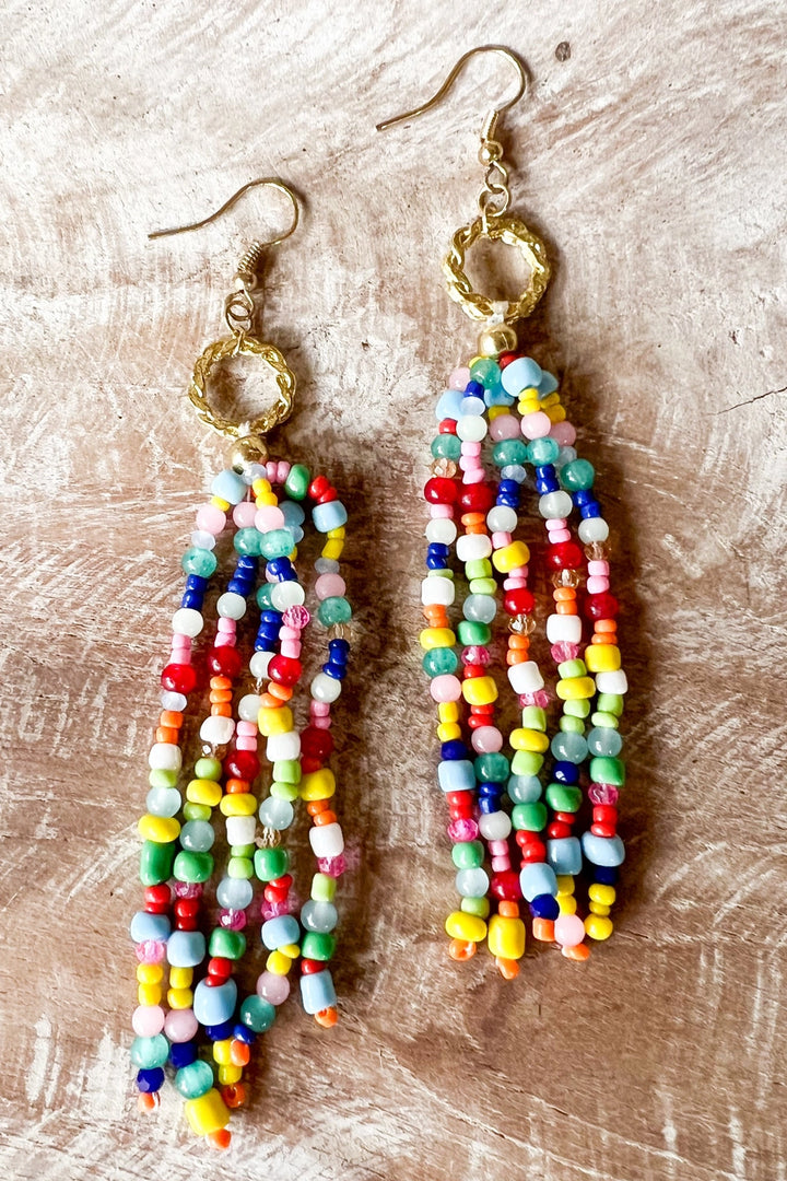 Multi Color Beaded Fringe Earrings