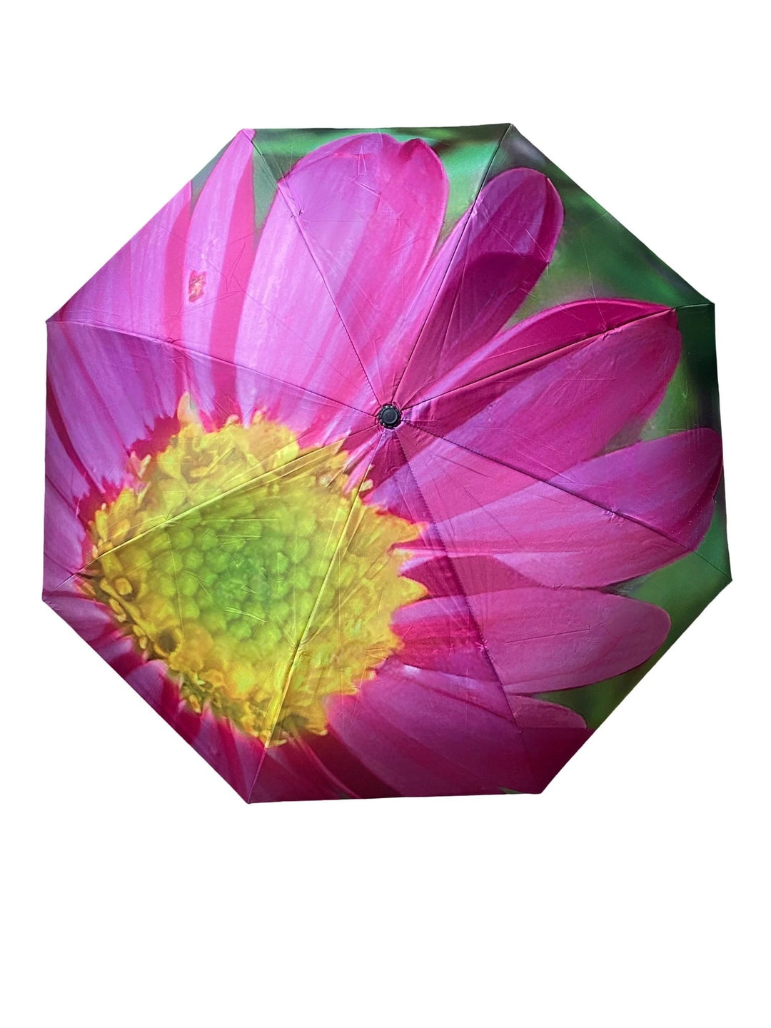 Nature Photography Inverted Umbrella