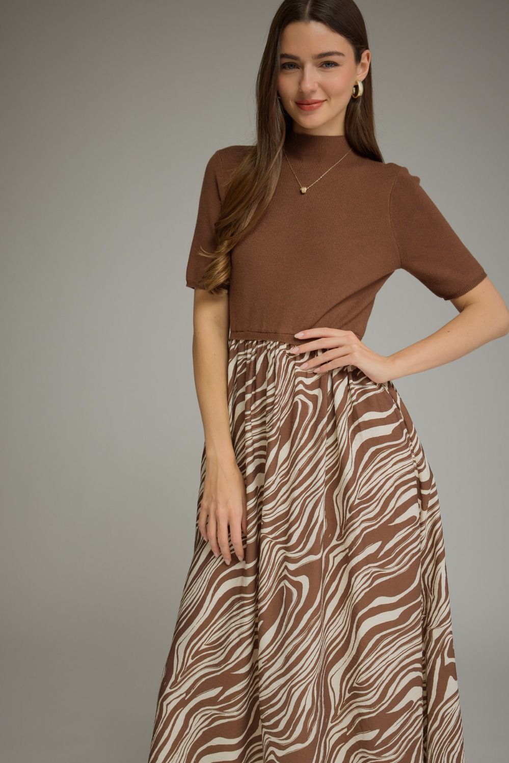 Mixed Media Dress - Zebra
