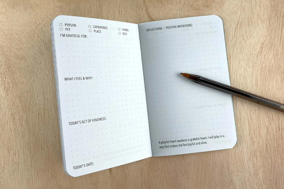Pockitudes Gratitude Journal  'Wisdom' 3-pack