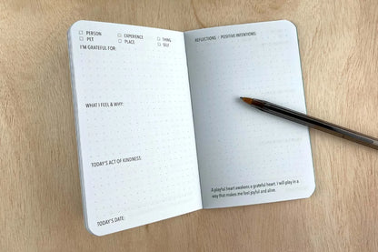Pockitudes Gratitude Journal  'Wisdom' 3-pack