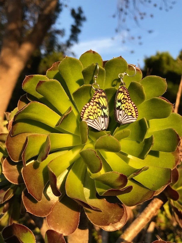 Green Tree Wooden Earring - Brilliant Butterfly