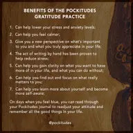 Pockitudes Gratitude Journal  'Mandala' 3-Pack