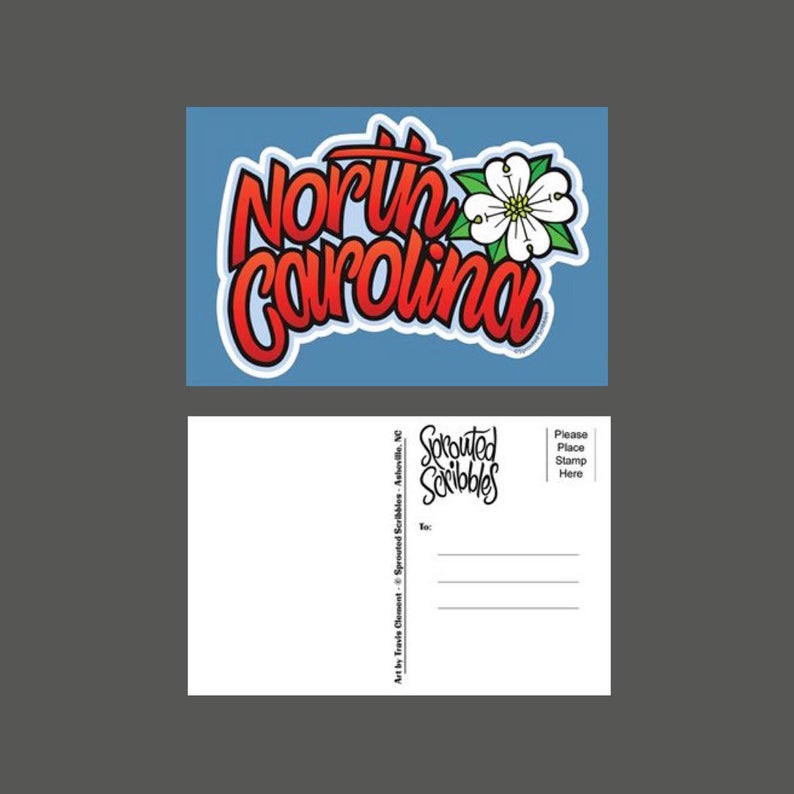 North Carolina Dogwood Postcard