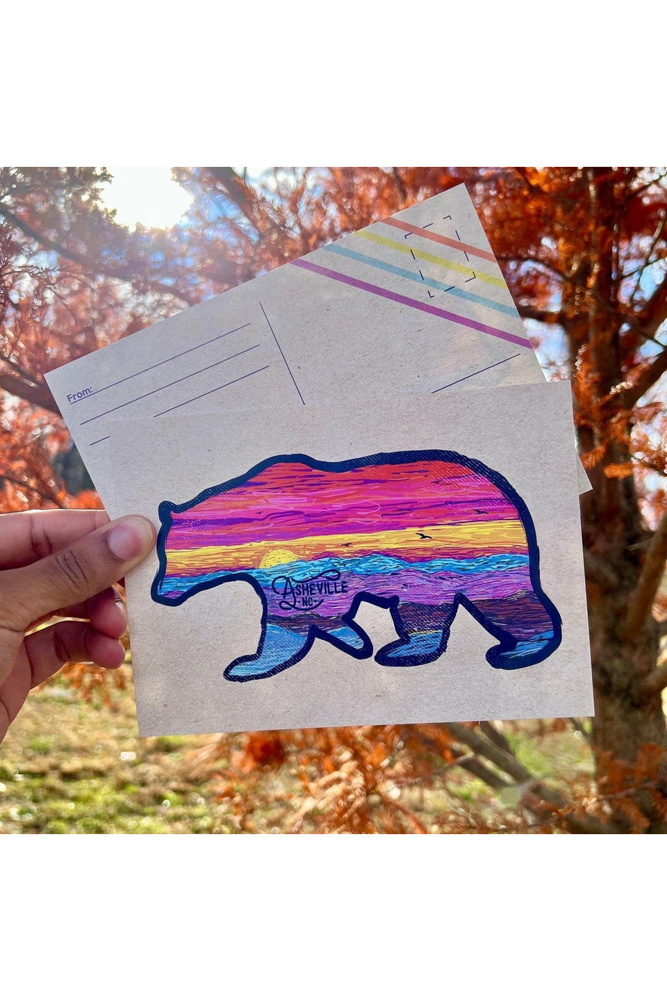 Sunset Bear Large Postcard